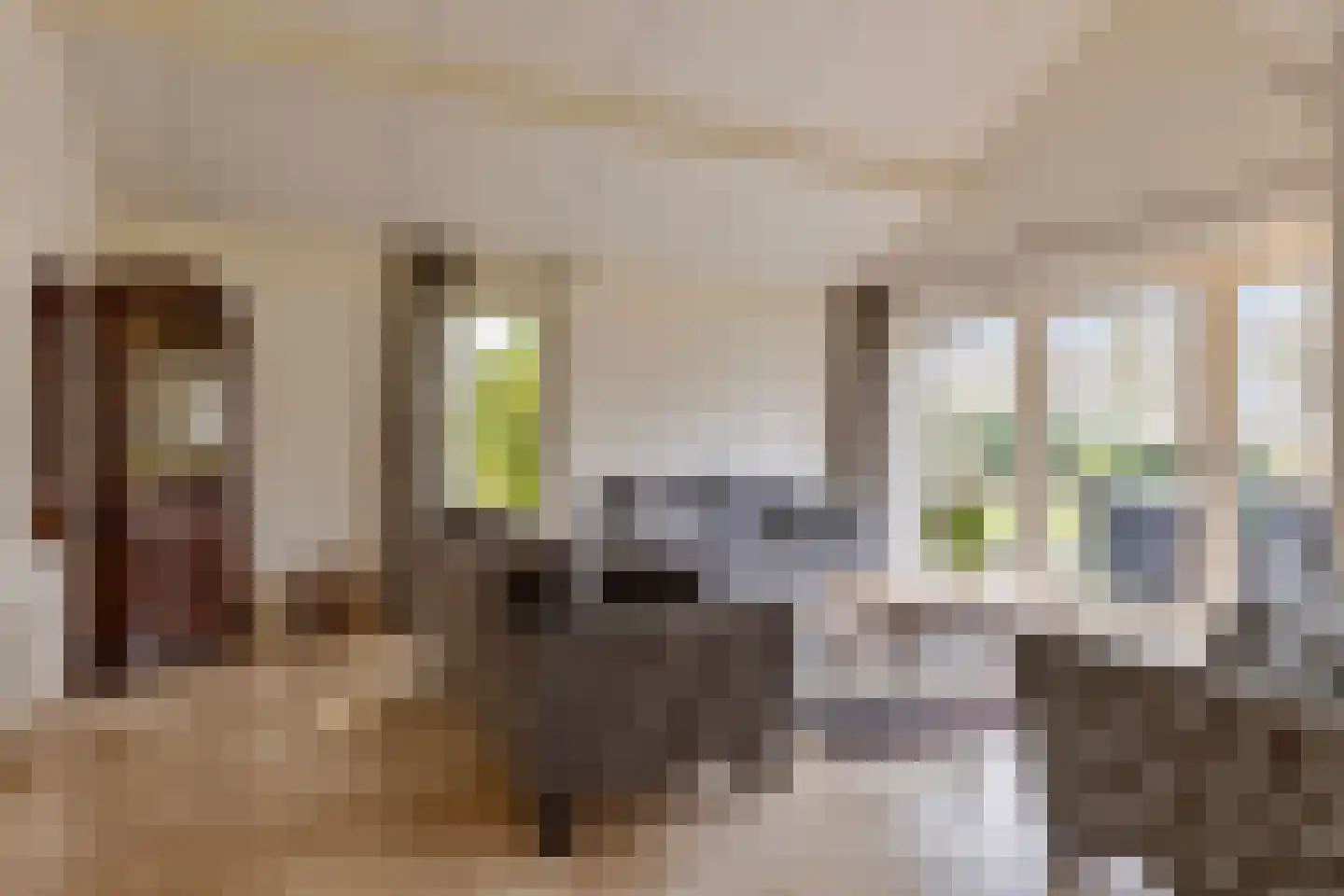 Blokjesplaat 35 Goes thumbnail 13