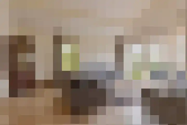 Blokjesplaat 35 Goes thumbnail 13