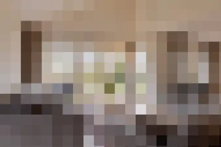 Blokjesplaat 35 Goes thumbnail 16