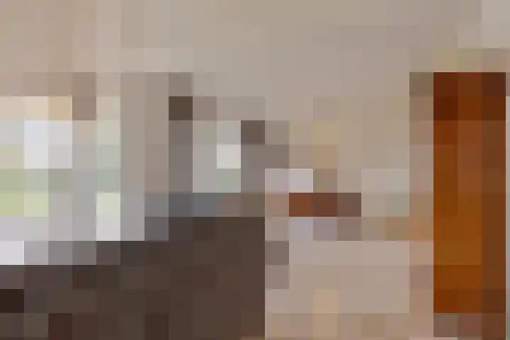Blokjesplaat 35 Goes thumbnail 17