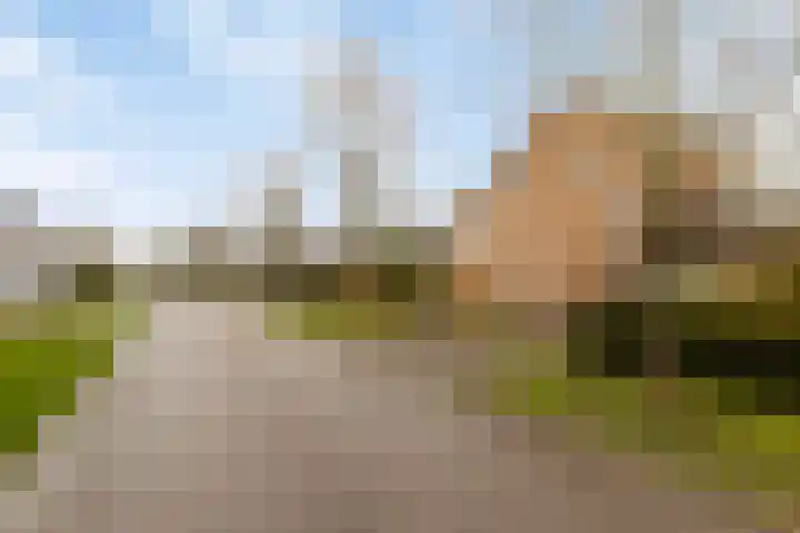 Blokjesplaat 35 Goes foto 2