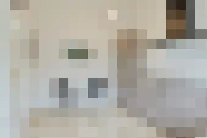 Blokjesplaat 35 Goes thumbnail 23