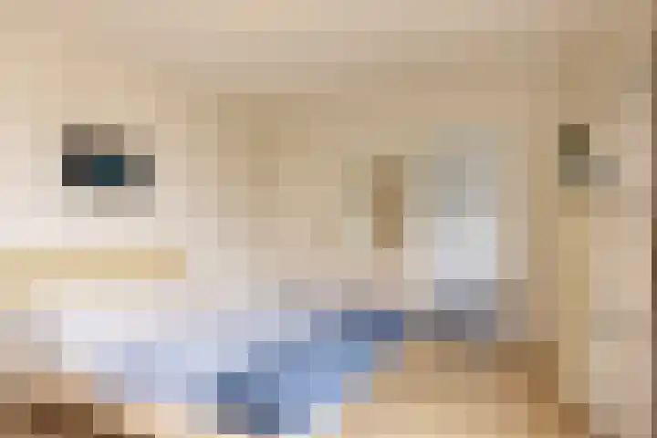 Blokjesplaat 35 Goes thumbnail 26