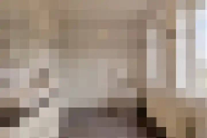 Blokjesplaat 35 Goes thumbnail 27