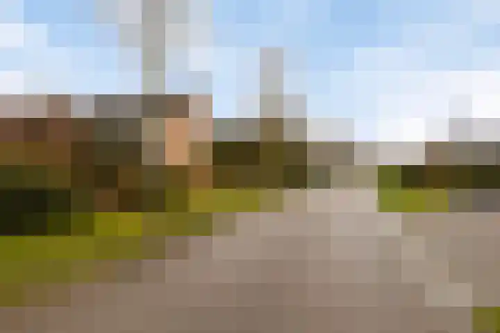 Blokjesplaat 35 Goes foto 3