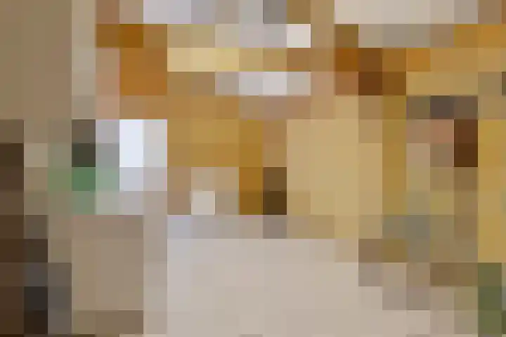 Blokjesplaat 35 Goes thumbnail 30