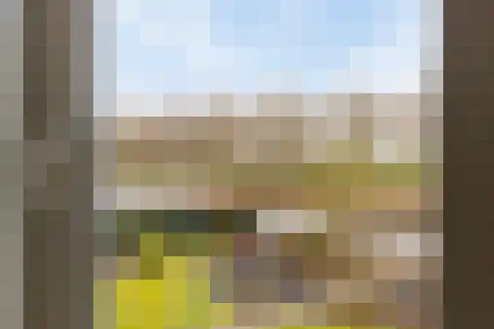 Blokjesplaat 35 Goes thumbnail 38