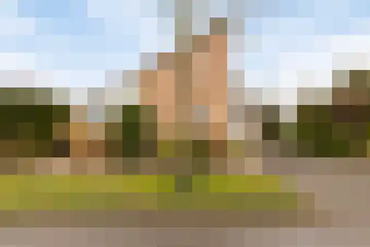 Blokjesplaat 35 Goes thumbnail 4
