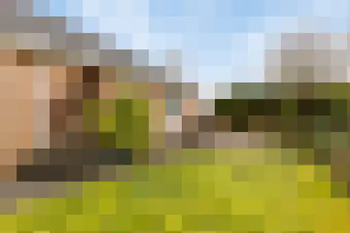 Blokjesplaat 35 Goes thumbnail 41