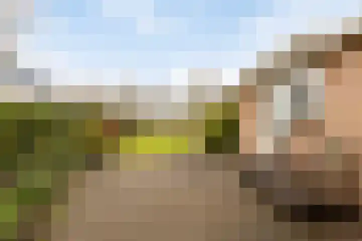 Blokjesplaat 35 Goes thumbnail 42