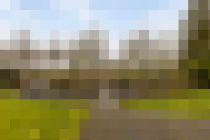 Blokjesplaat 35 Goes thumbnail 44