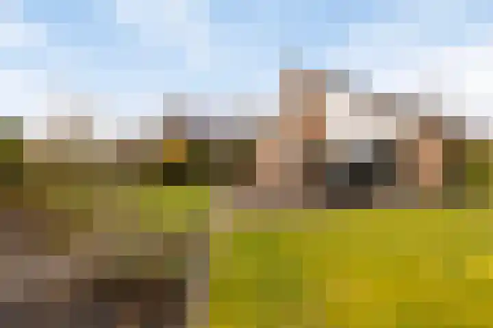 Blokjesplaat 35 Goes thumbnail 46