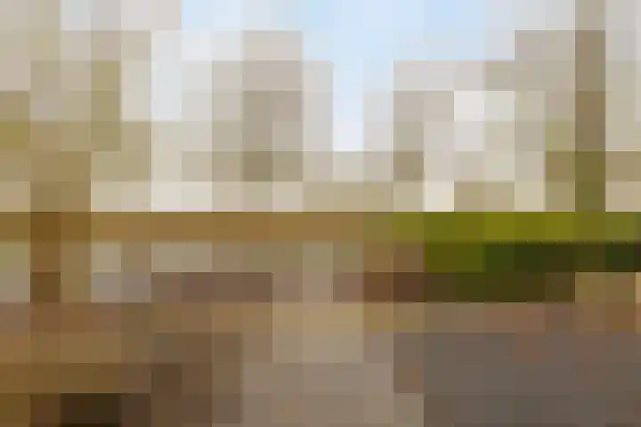 Blokjesplaat 35 Goes thumbnail 47