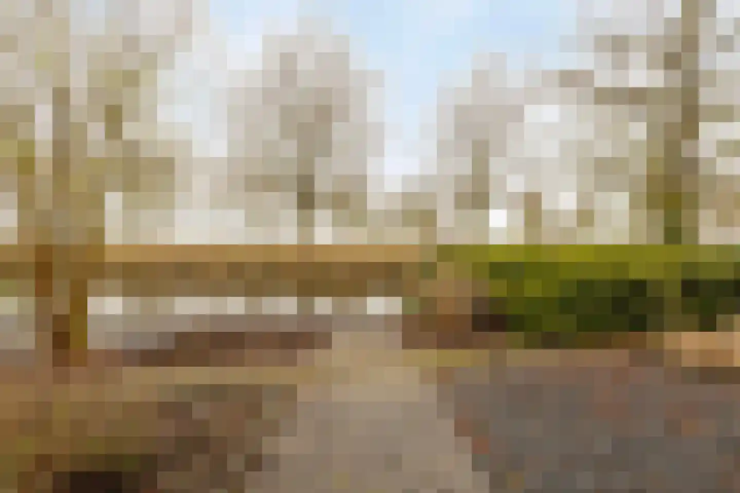 Blokjesplaat 35 Goes thumbnail 47