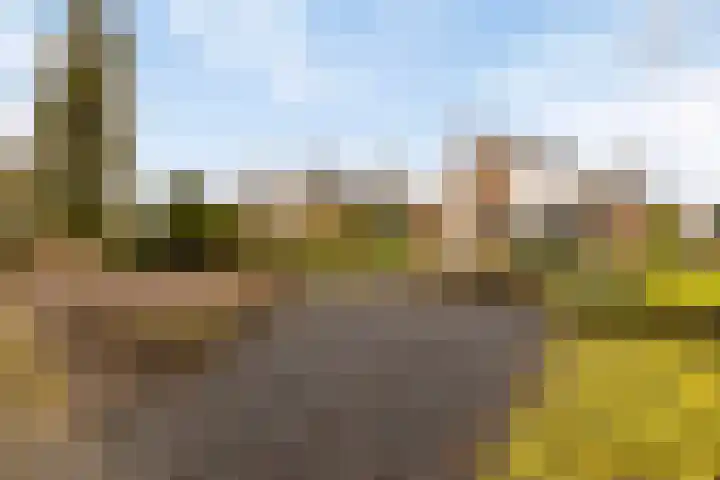 Blokjesplaat 35 Goes thumbnail 48