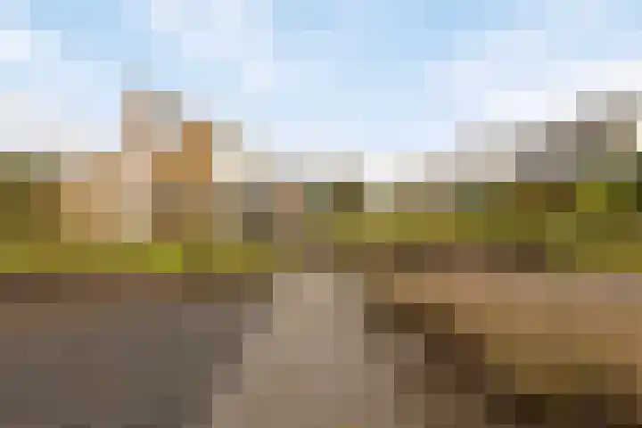 Blokjesplaat 35 Goes thumbnail 49