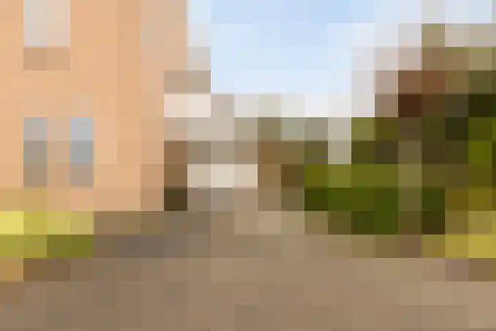 Blokjesplaat 35 Goes thumbnail 5