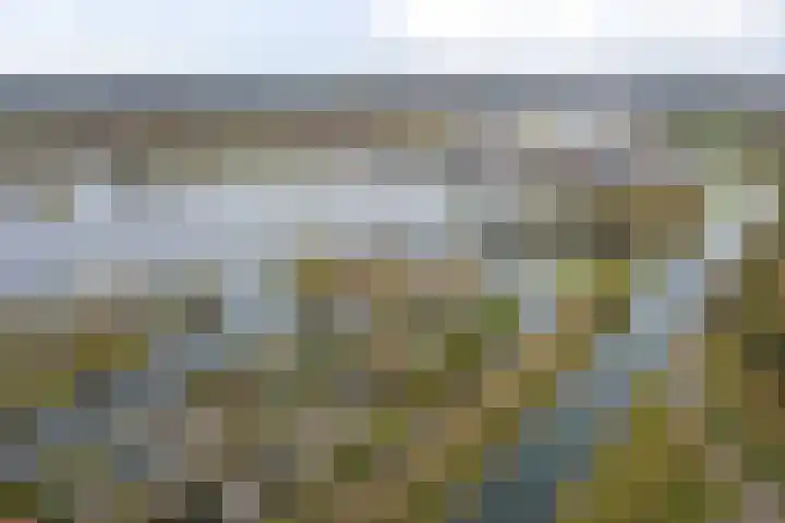 Blokjesplaat 35 Goes thumbnail 55