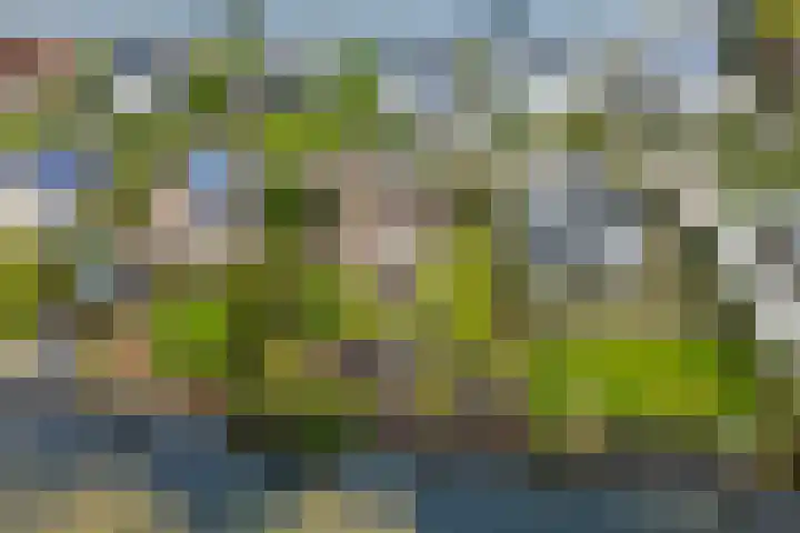 Blokjesplaat 35 Goes thumbnail 56