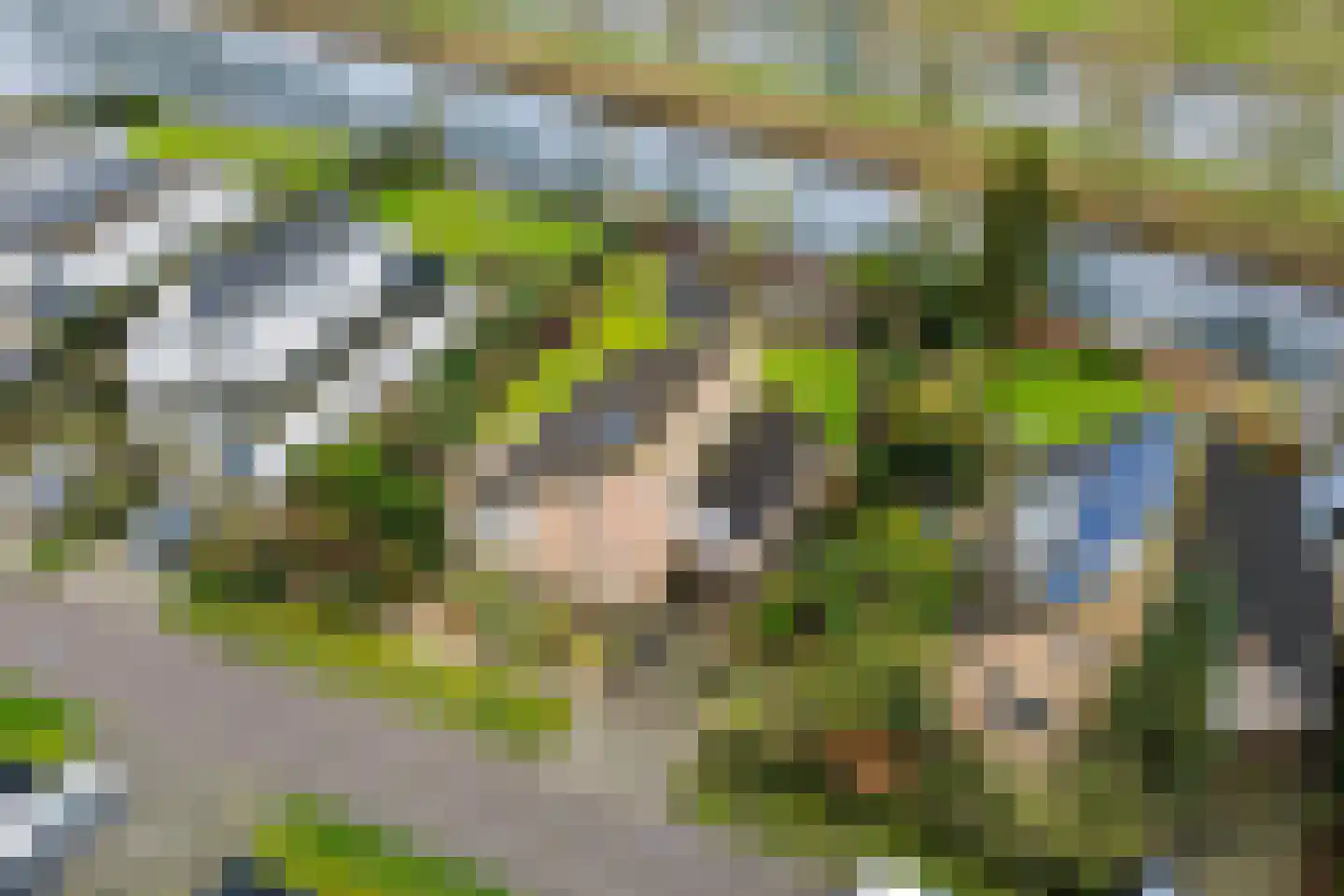 Blokjesplaat 35 Goes thumbnail 6
