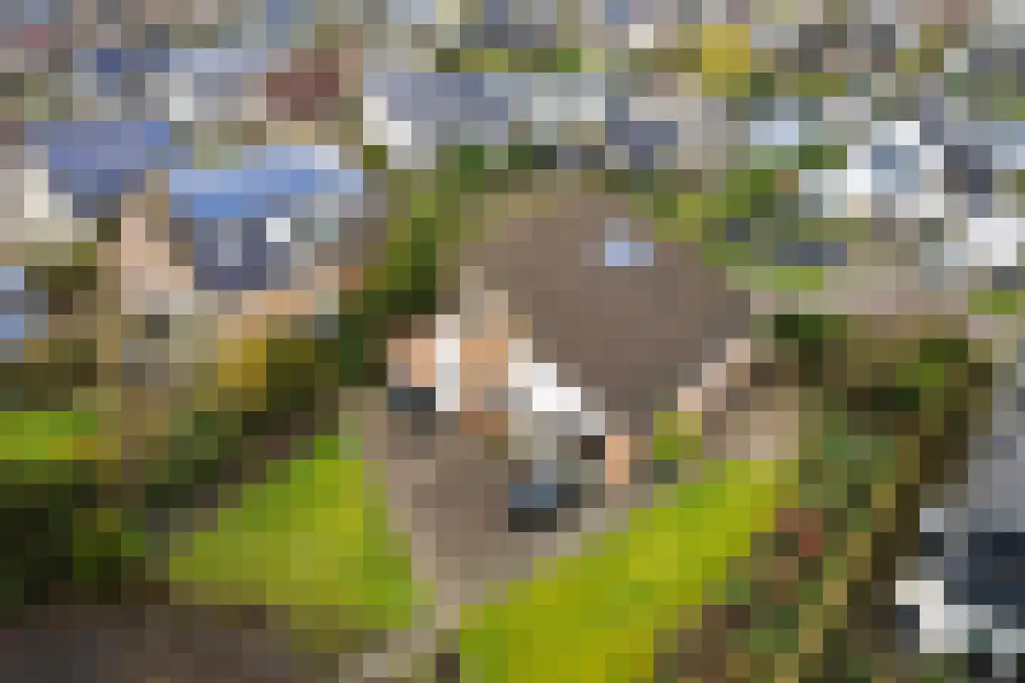 Blokjesplaat 35 Goes thumbnail 7
