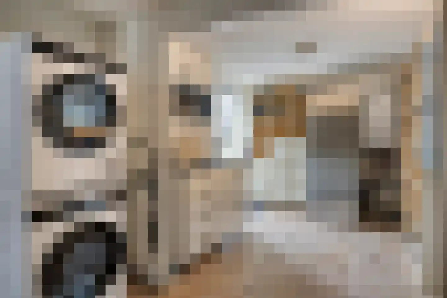 Blokjesplaat 50 Goes thumbnail 23