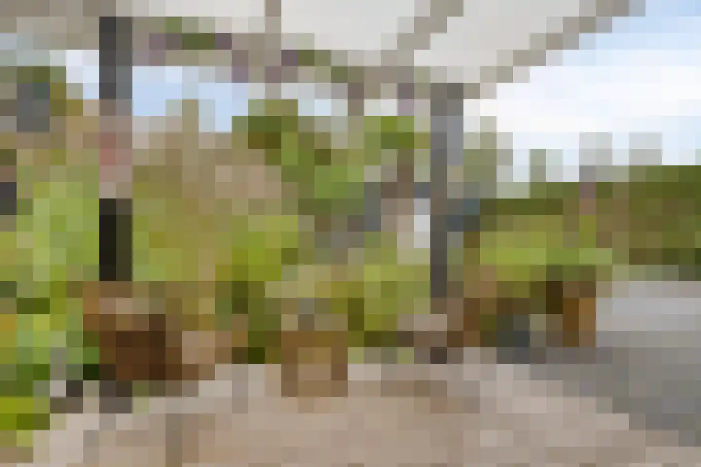 Blokjesplaat 50 Goes thumbnail 36