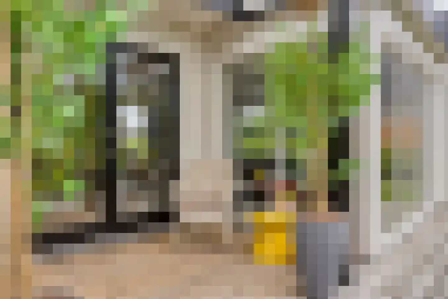Blokjesplaat 50 Goes thumbnail 37