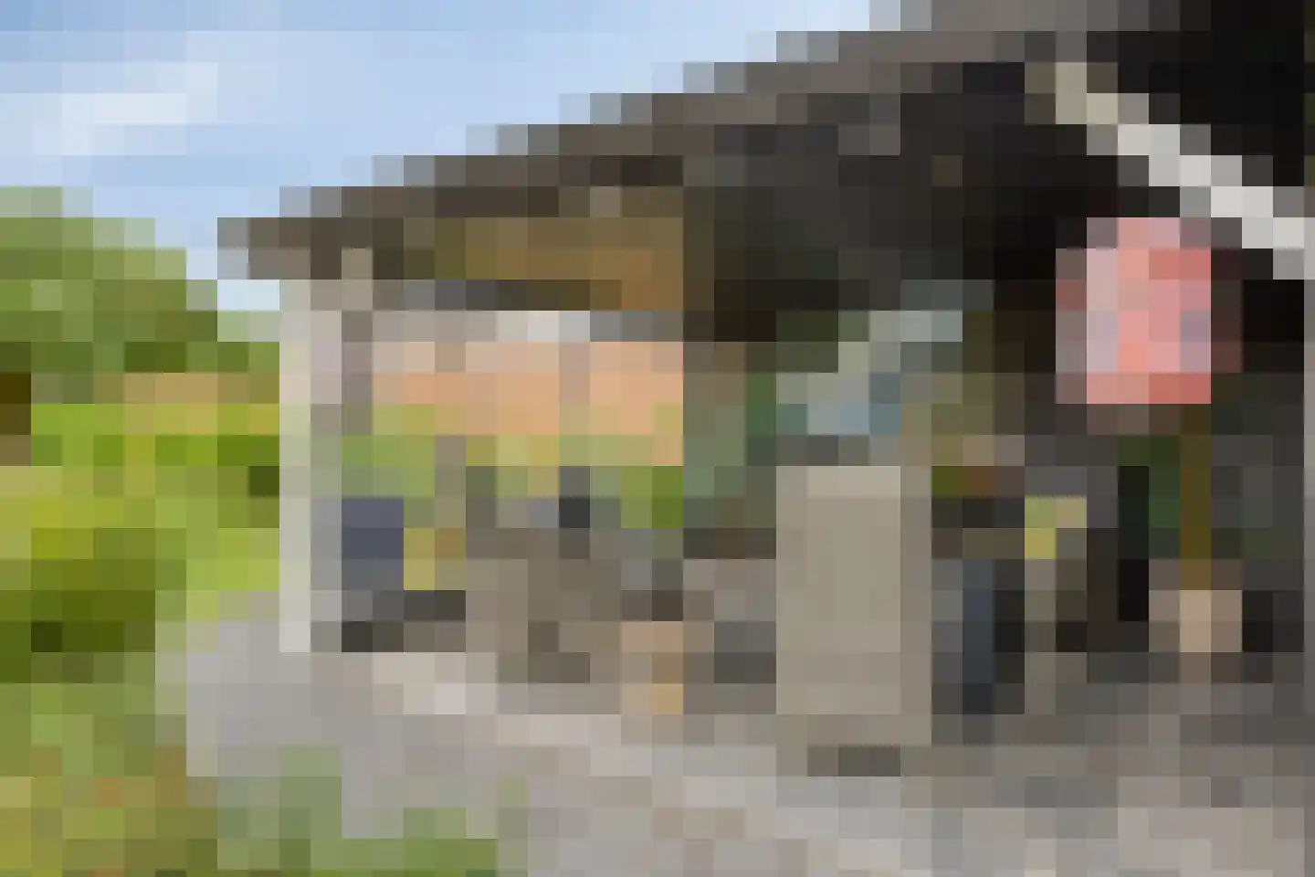 Blokjesplaat 50 Goes thumbnail 40