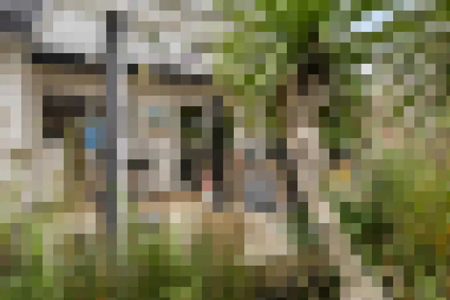 Blokjesplaat 50 Goes thumbnail 42