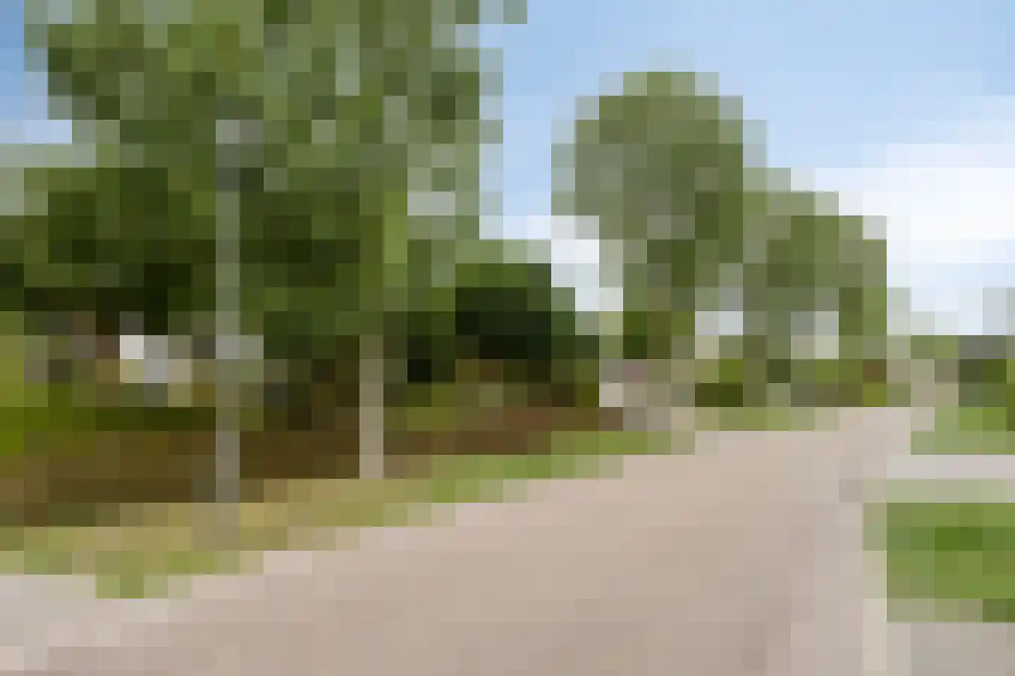 Blokjesplaat 50 Goes thumbnail 7