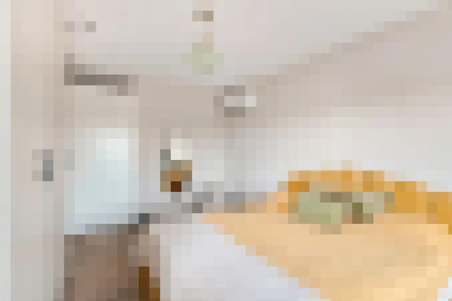 Blokkenmakerssteeg 12 Bunschoten-Spakenburg thumbnail 19