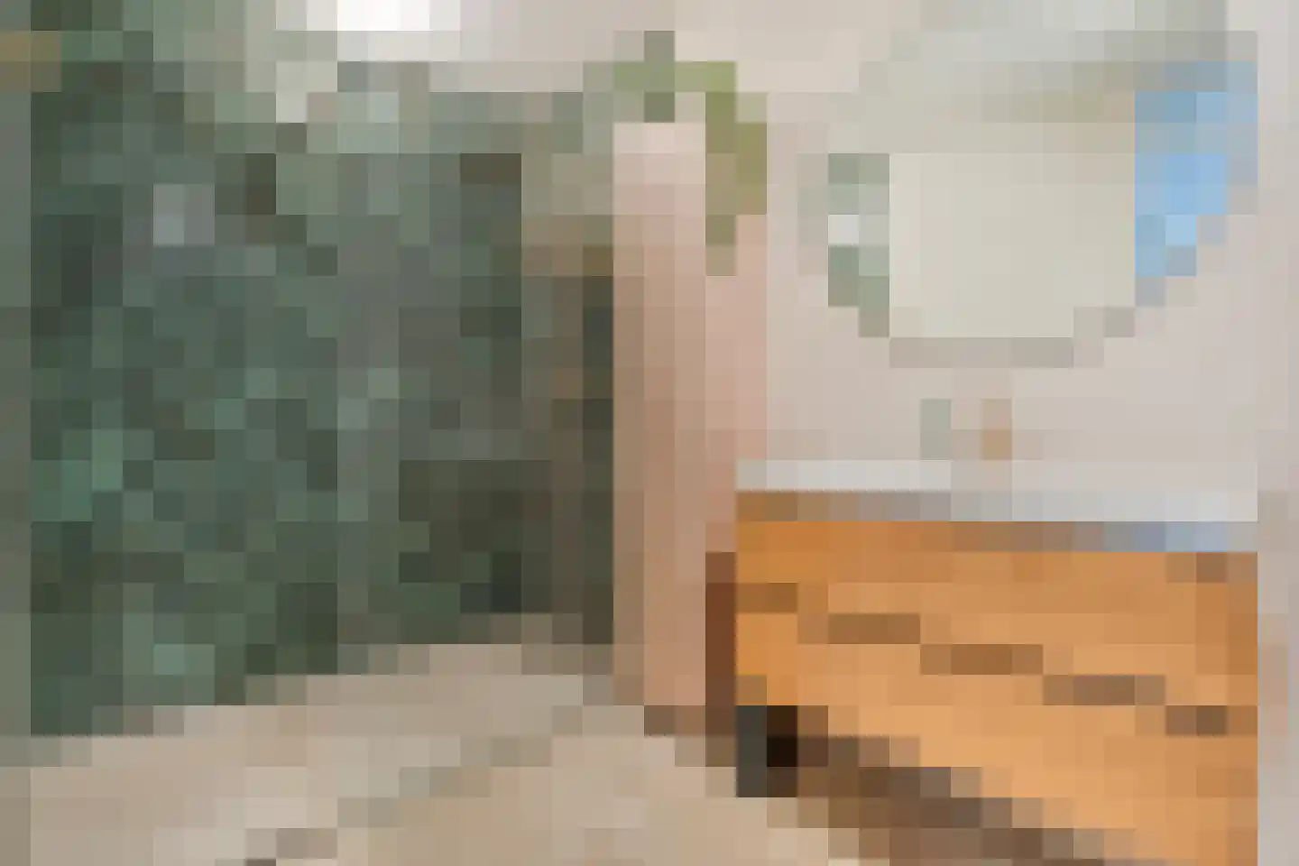 Blokkenmakerssteeg 12 Bunschoten-Spakenburg thumbnail 4