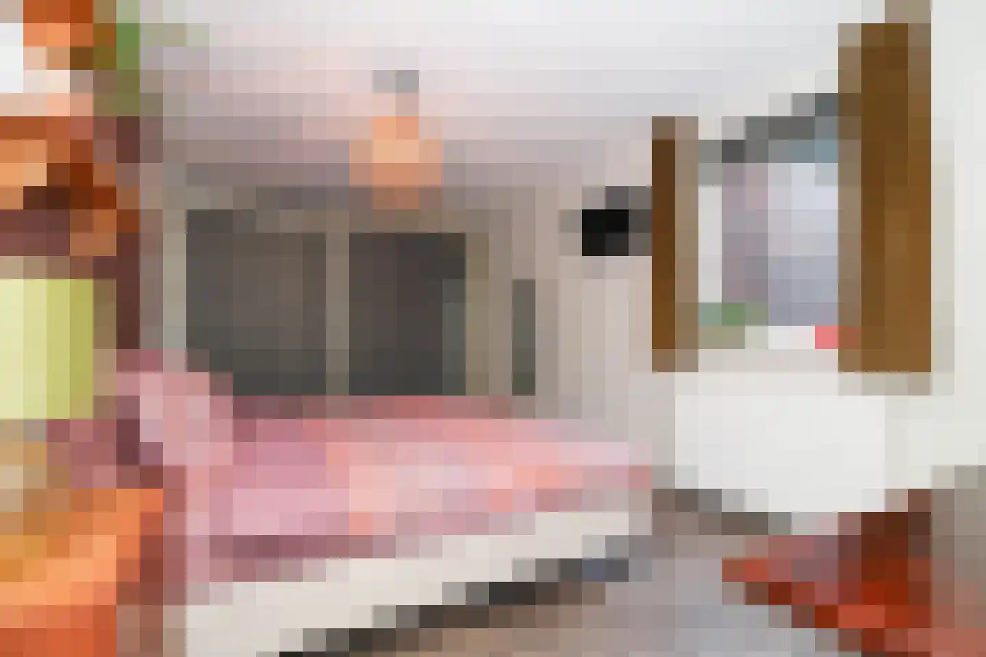 Blokkenmakerssteeg 8 Bunschoten-Spakenburg thumbnail 14
