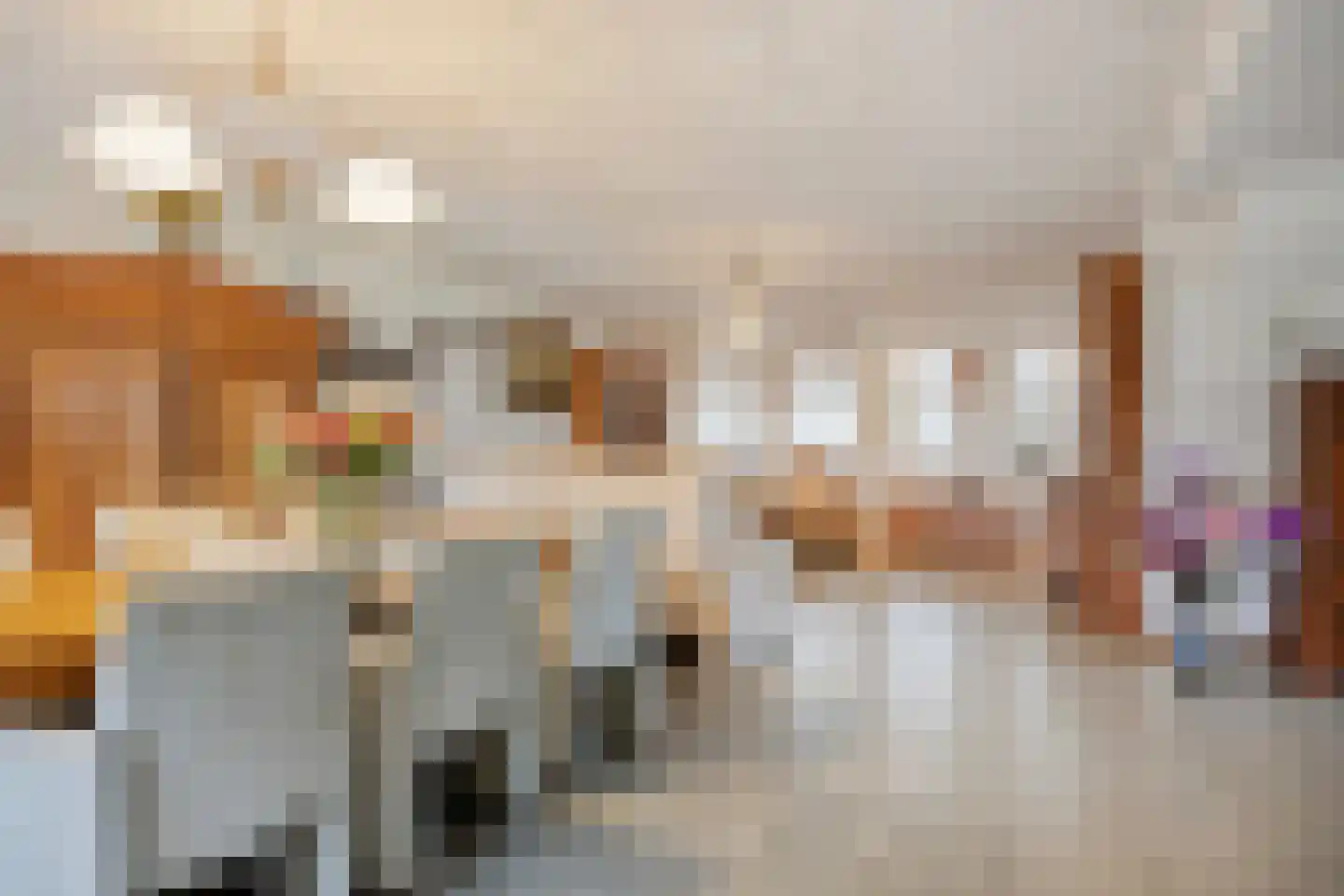 Blokkenweg 2 Rosmalen thumbnail 10