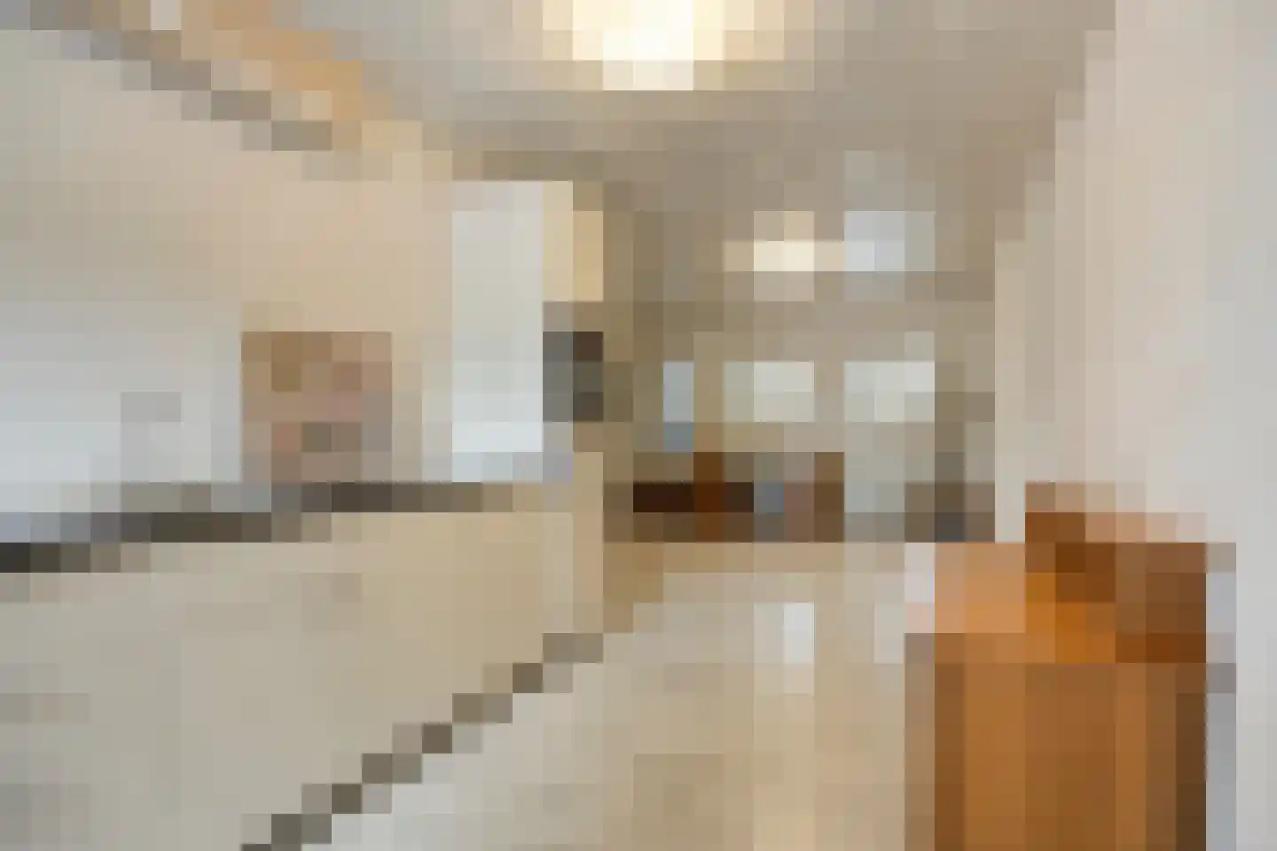 Blokkenweg 2 Rosmalen thumbnail 17