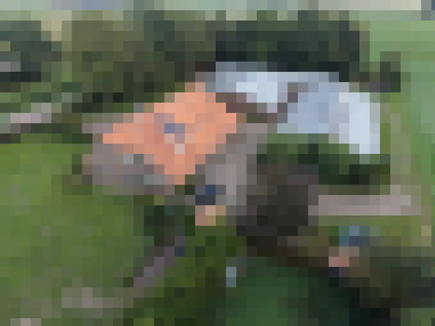 Blokkenweg 2 Rosmalen thumbnail 48