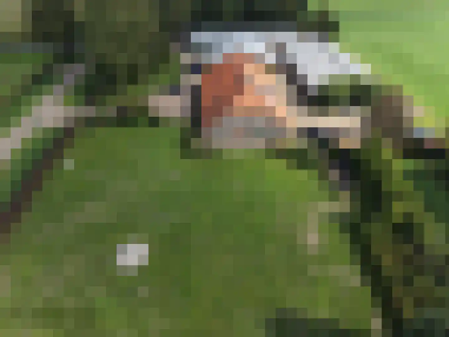 Blokkenweg 2 Rosmalen thumbnail 51