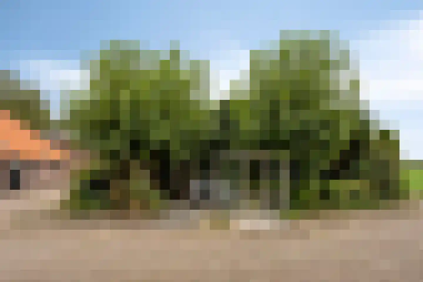 Blokkenweg 2 Rosmalen thumbnail 64