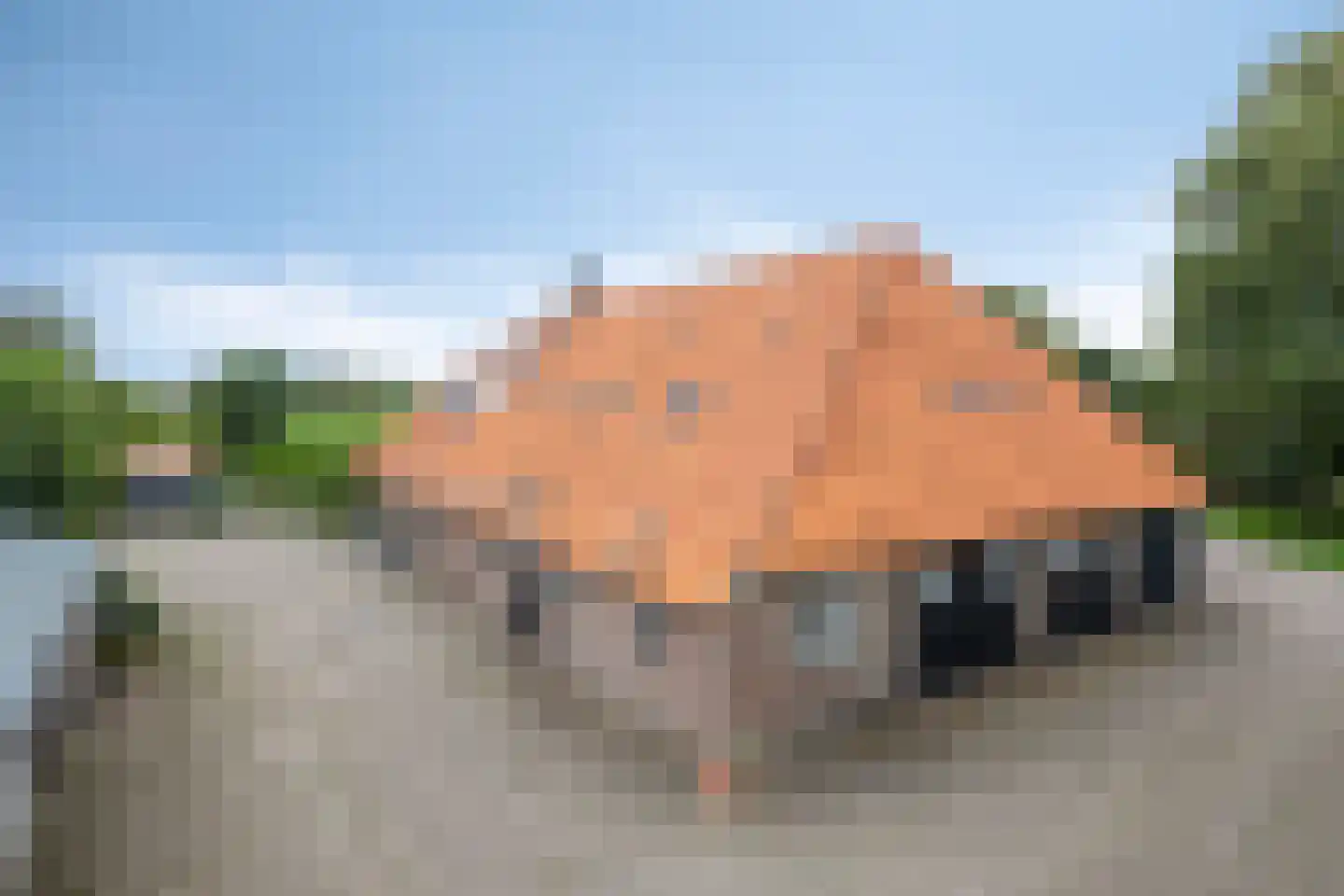Blokkenweg 2 Rosmalen thumbnail 76