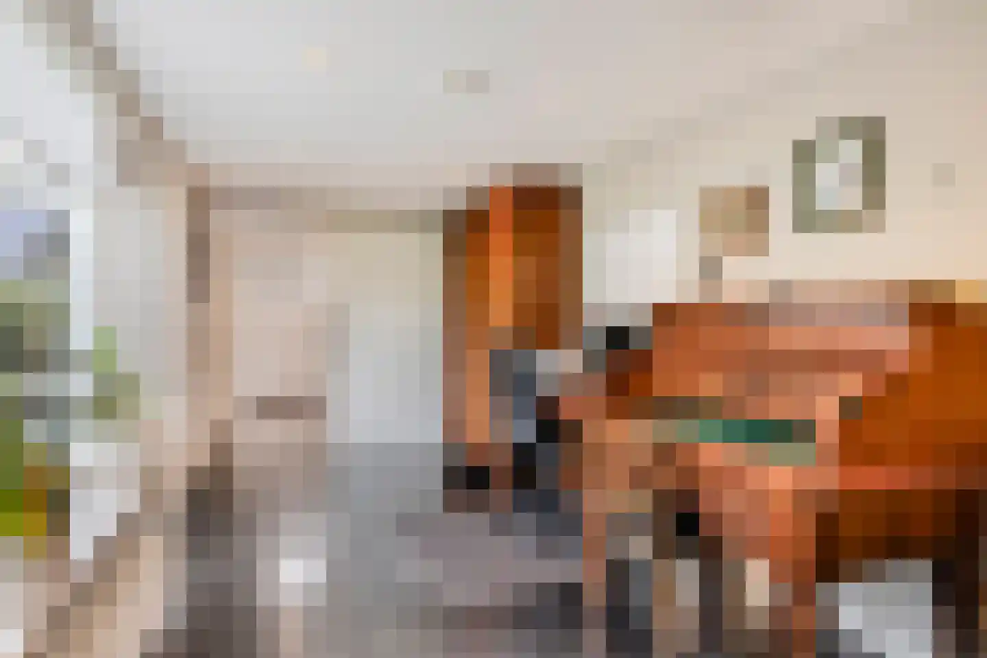 Blokkenweide 13 Chaam thumbnail 24