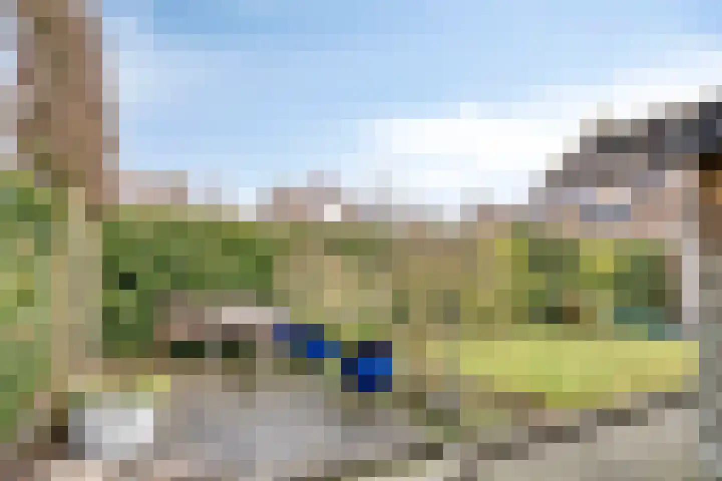 Blokkenweide 13 Chaam thumbnail 45