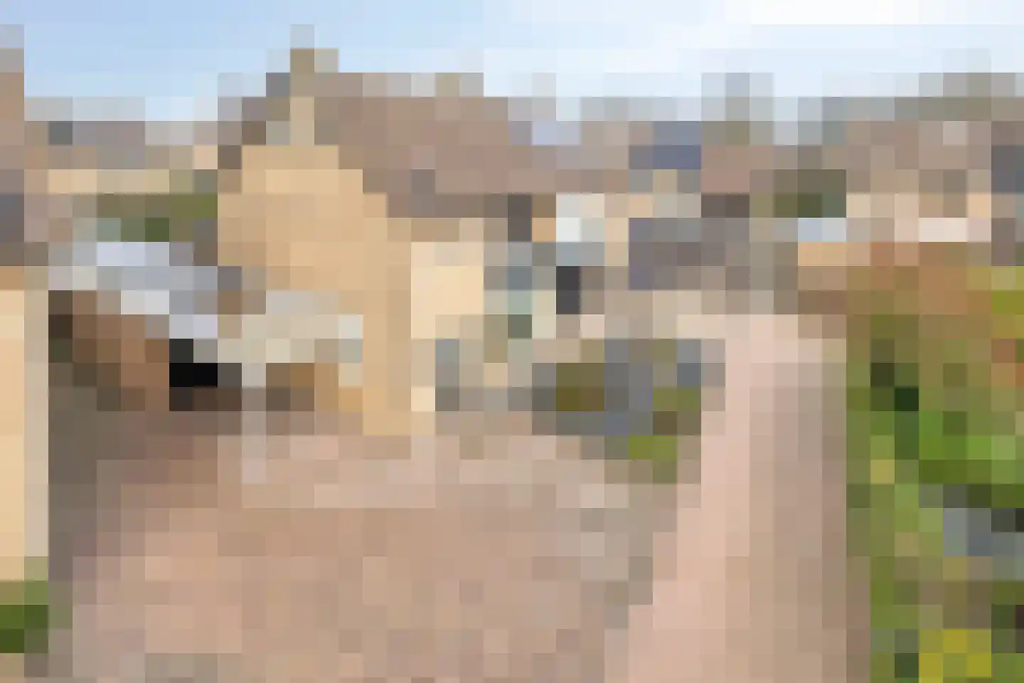 Blokkenweide 13 Chaam thumbnail 50