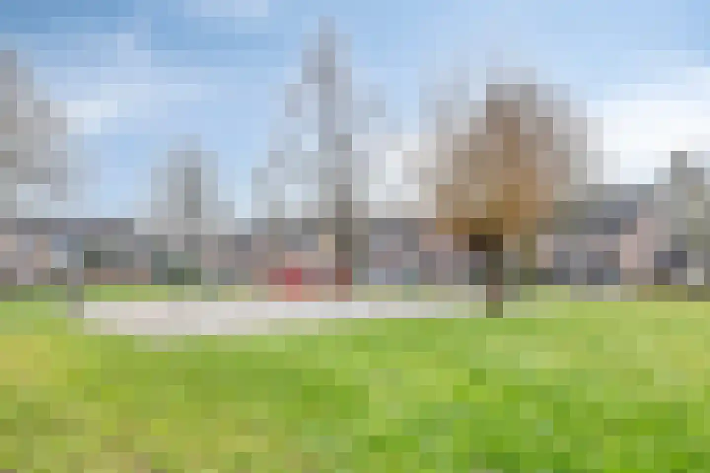 Blokkenweide 13 Chaam thumbnail 51