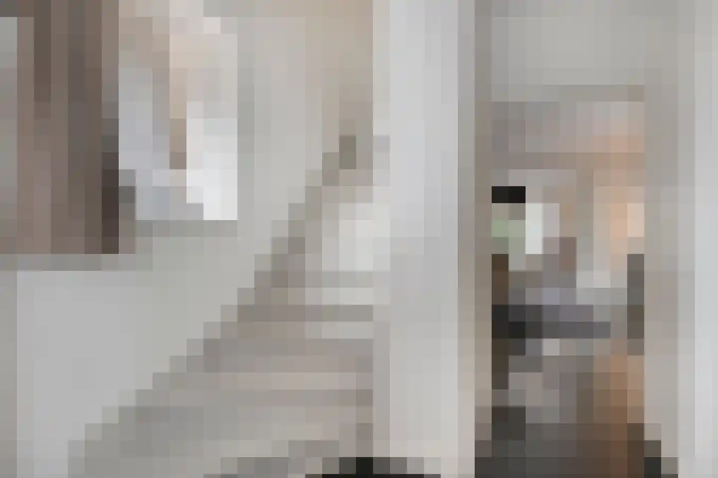 Blokkenweide 13 Chaam thumbnail 6