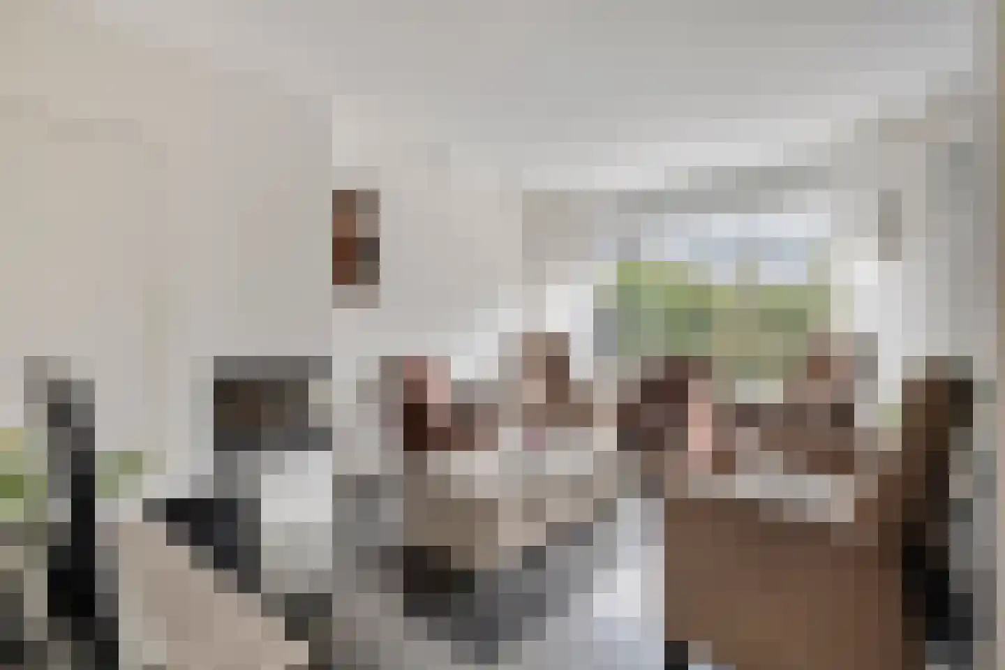 Blokkenweide 13 Chaam thumbnail 7