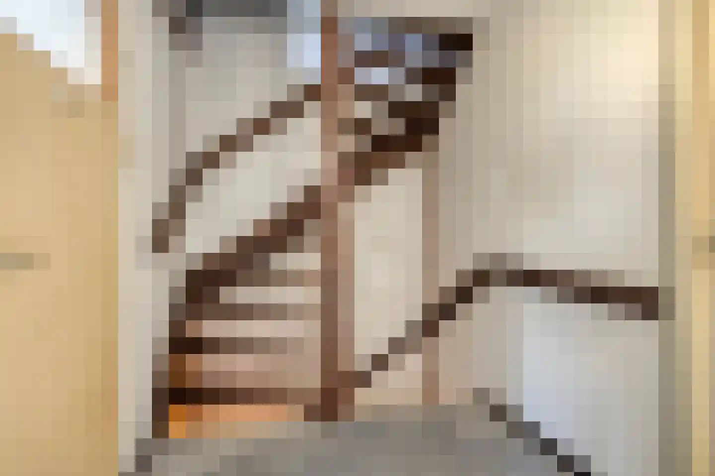 Blokkenweide 4 Chaam thumbnail 19