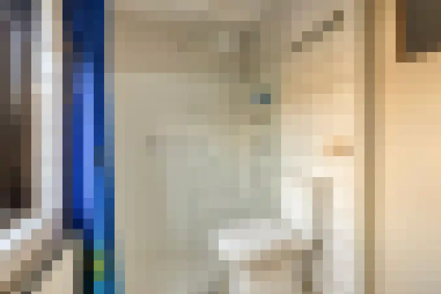 Blokkenweide 4 Chaam thumbnail 26