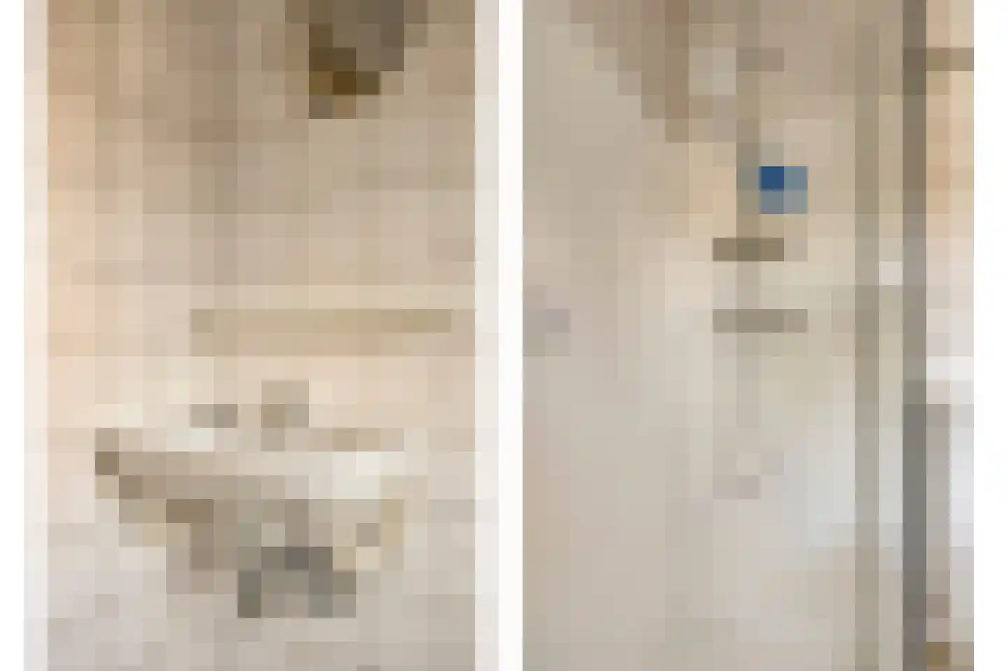 Blokkenweide 4 Chaam thumbnail 27