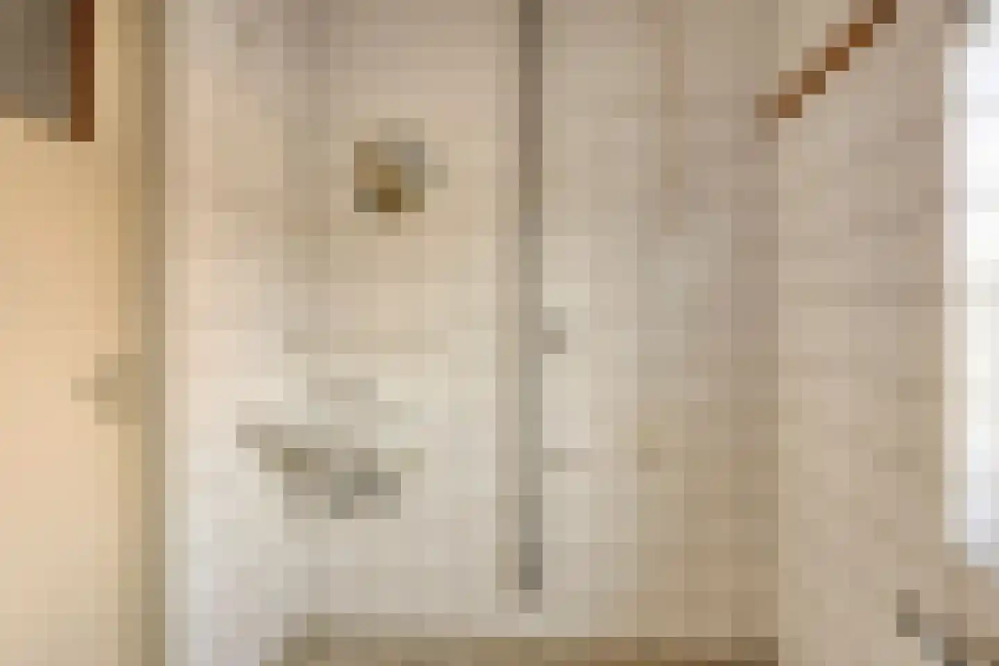Blokkenweide 4 Chaam thumbnail 28